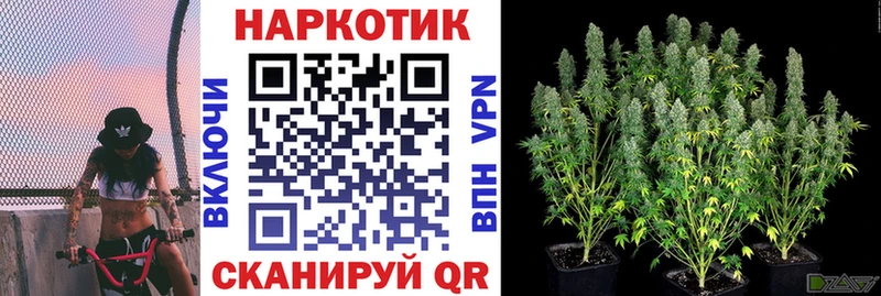 Что такое Аргун ГАШ Канабис Кокаин APVP МЕФ