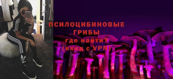 дживик Пересвет
