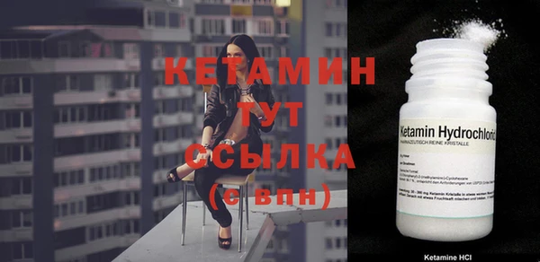 дживик Пересвет