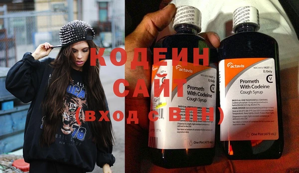 дживик Пересвет