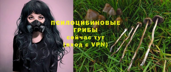 дживик Пересвет