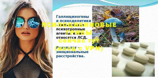 ГАЛЛЮЦИНОГЕННЫЕ ГРИБЫ Пестово