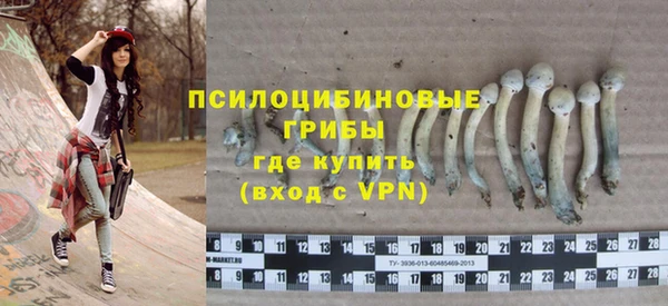 мяу мяу мука Переславль-Залесский