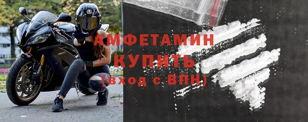 дживик Пересвет