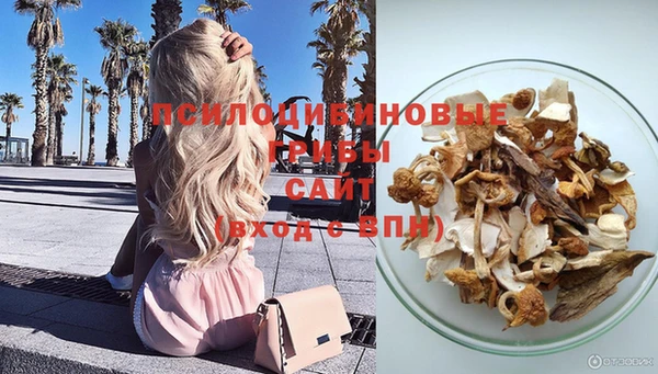 дживик Пересвет