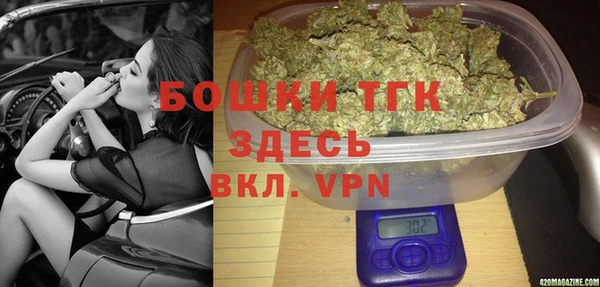 ГАЛЛЮЦИНОГЕННЫЕ ГРИБЫ Пестово
