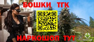 дмт Аргун