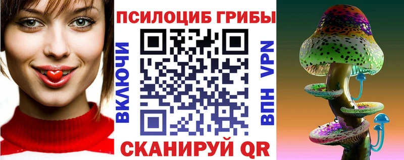 мега вход  Аргун  Галлюциногенные грибы мицелий 