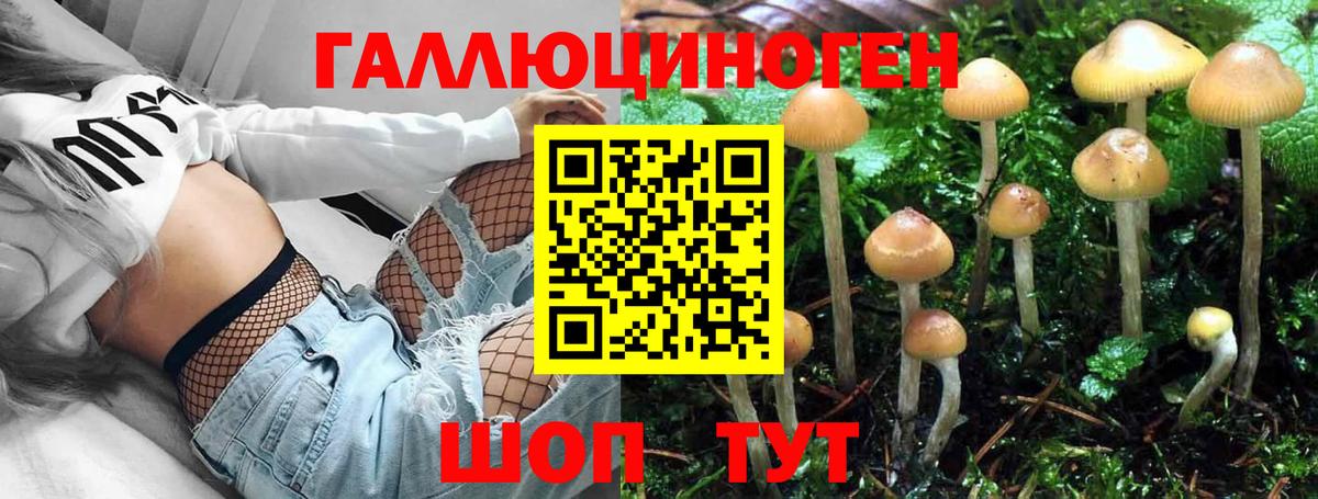 Метамфетамин Аргун