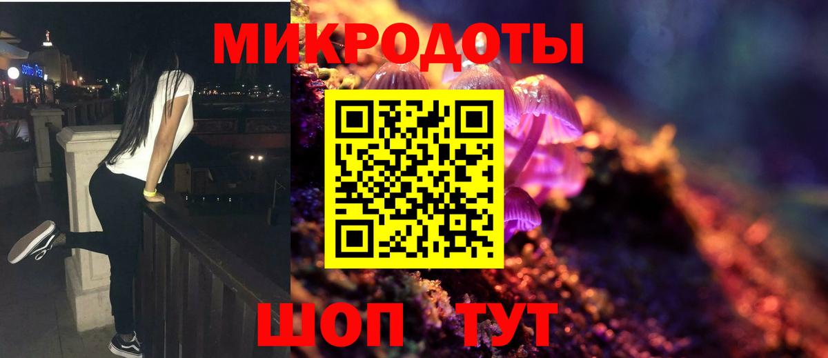 Аргун  где продают наркотики  Вход с VPN  Галлюциногенные грибы Psilocybine cubensis 