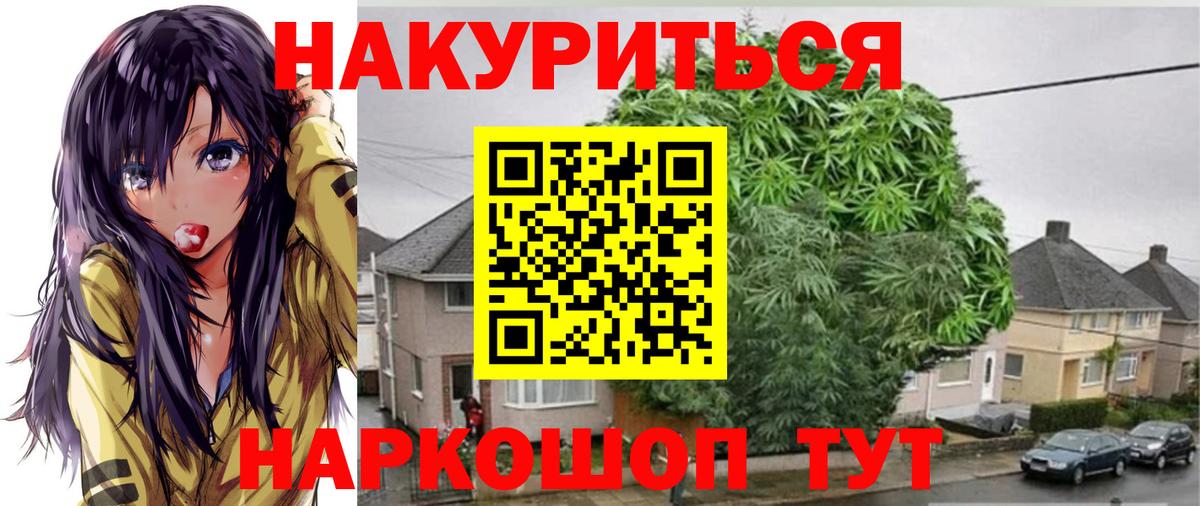 Марихуана сатива  Канабис OG Kush  Вход с VPN  Аргун 